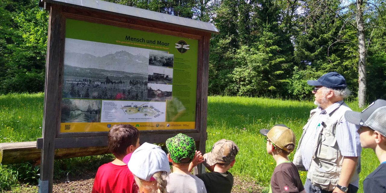 Naturdetektive unterwegs – Die Blattläuse wandern im Moor