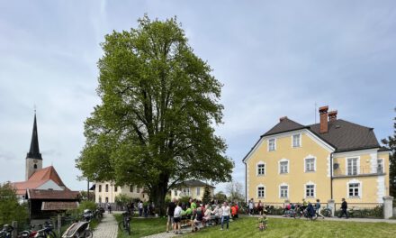 Gelungene Fahrradsegnung 2023