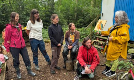 Sommerfest und symbolischer Neubeginn im Waldkäfer Kindergarten