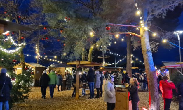 Traunreuter Christkindlmarkt 2025