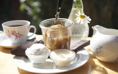 TERMINE AWO ORTSVEREIN