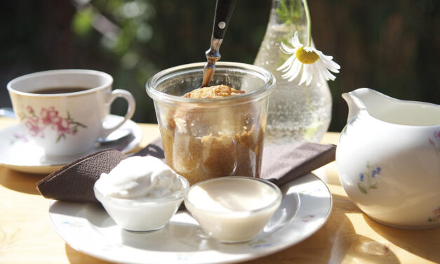 TERMINE AWO ORTSVEREIN