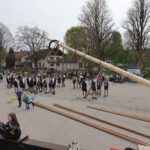 Maibaumaufstellen vom  Dirndl- und Arbeiterverein Stein