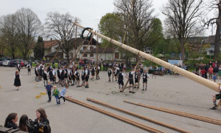 Maibaumaufstellen vom  Dirndl- und Arbeiterverein Stein