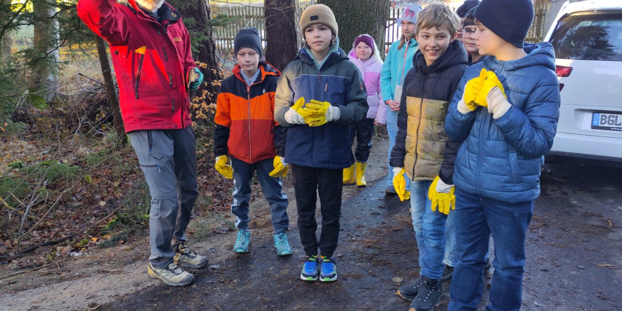 Fünftklässler retten Kröten in Gigling