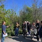 Wildkräuterwanderung