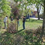Bau einer Benjeshecke – Ein Naturprojekt des Forscherpaktes der 6. Klasse