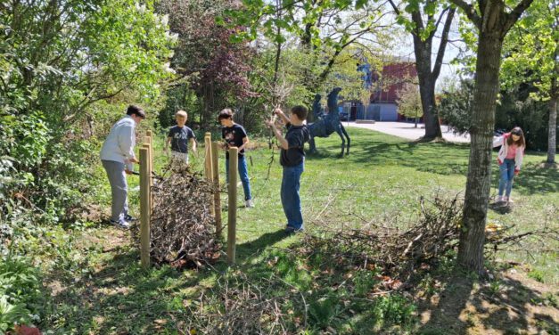 Bau einer Benjeshecke – Ein Naturprojekt des Forscherpaktes der 6. Klasse