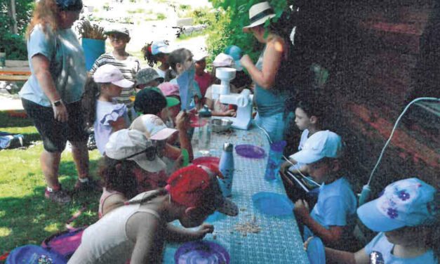 BAUERNHOF BESUCH MIT kinDergarten blumenwiese