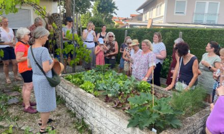 Aktuelles aus dem Gartenbauverein Traunwalchen
